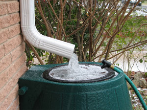 Сбор дождевой воды на даче поможет для полива и других целей.