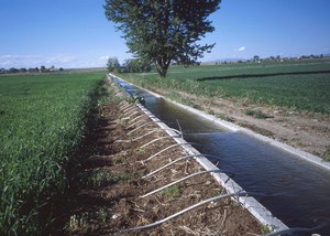 Удельное водопотребление для определения расчетных расходов воды