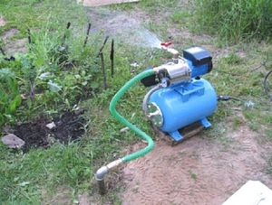 Насосы для полива из водоема дачного участка с автоматикой